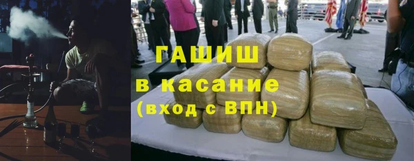 гашик Няндома