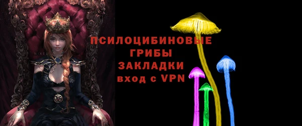 гашик Няндома