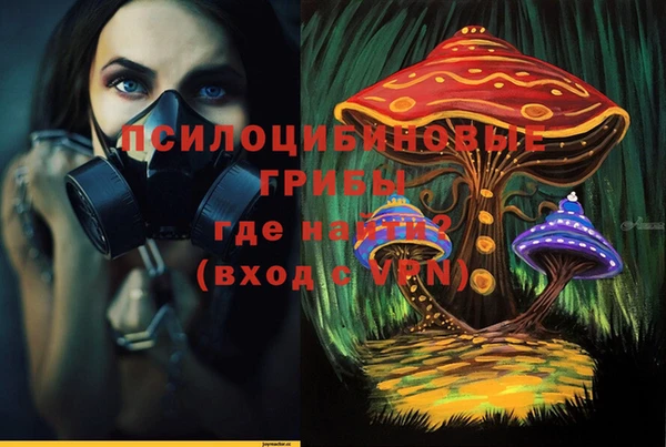 гашик Няндома