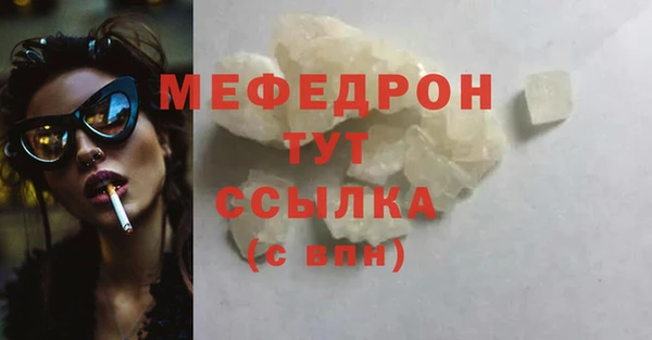 гашик Няндома
