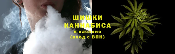 гашик Няндома