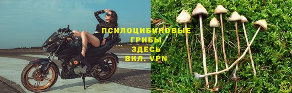 гашик Няндома