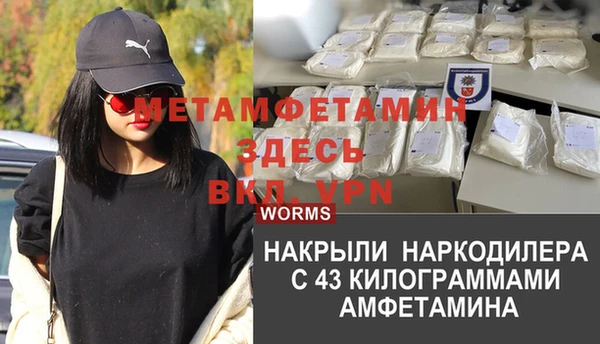 гашик Няндома