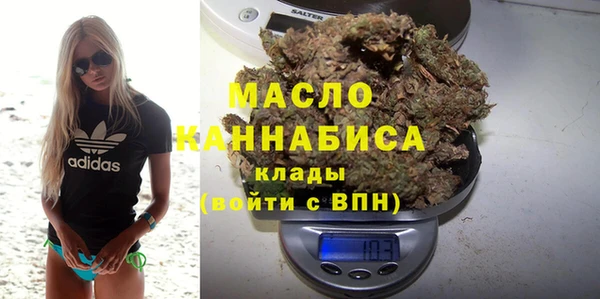 гашик Няндома