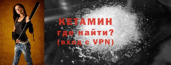 гашик Няндома