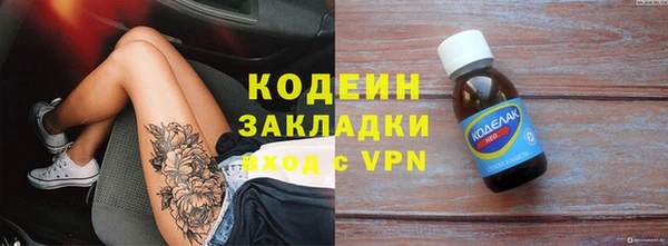 гашик Няндома